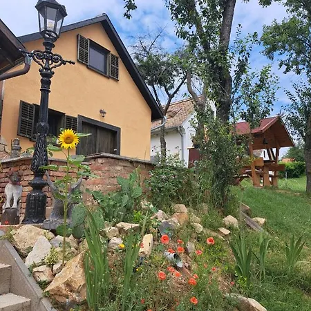 Macskajaj Vendeghaz Villa Mecseknadasd Exterior photo